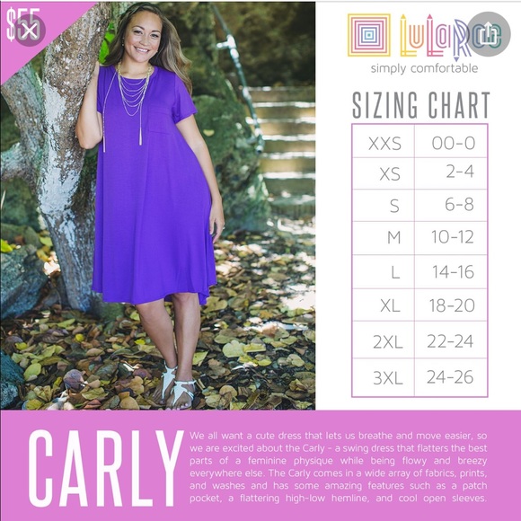 Women’s Medium LuLaRoe Dress - Picture 5 of 5